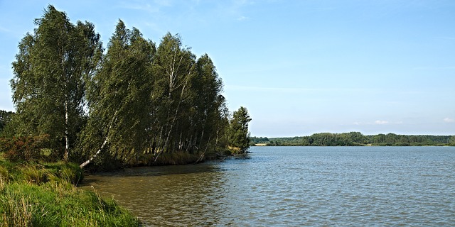 rybník v Čechách